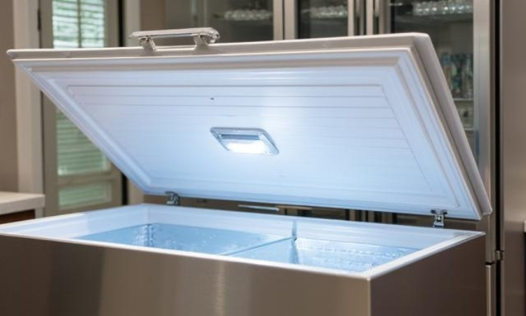 Pendik Derin Dondurucu Servisi,